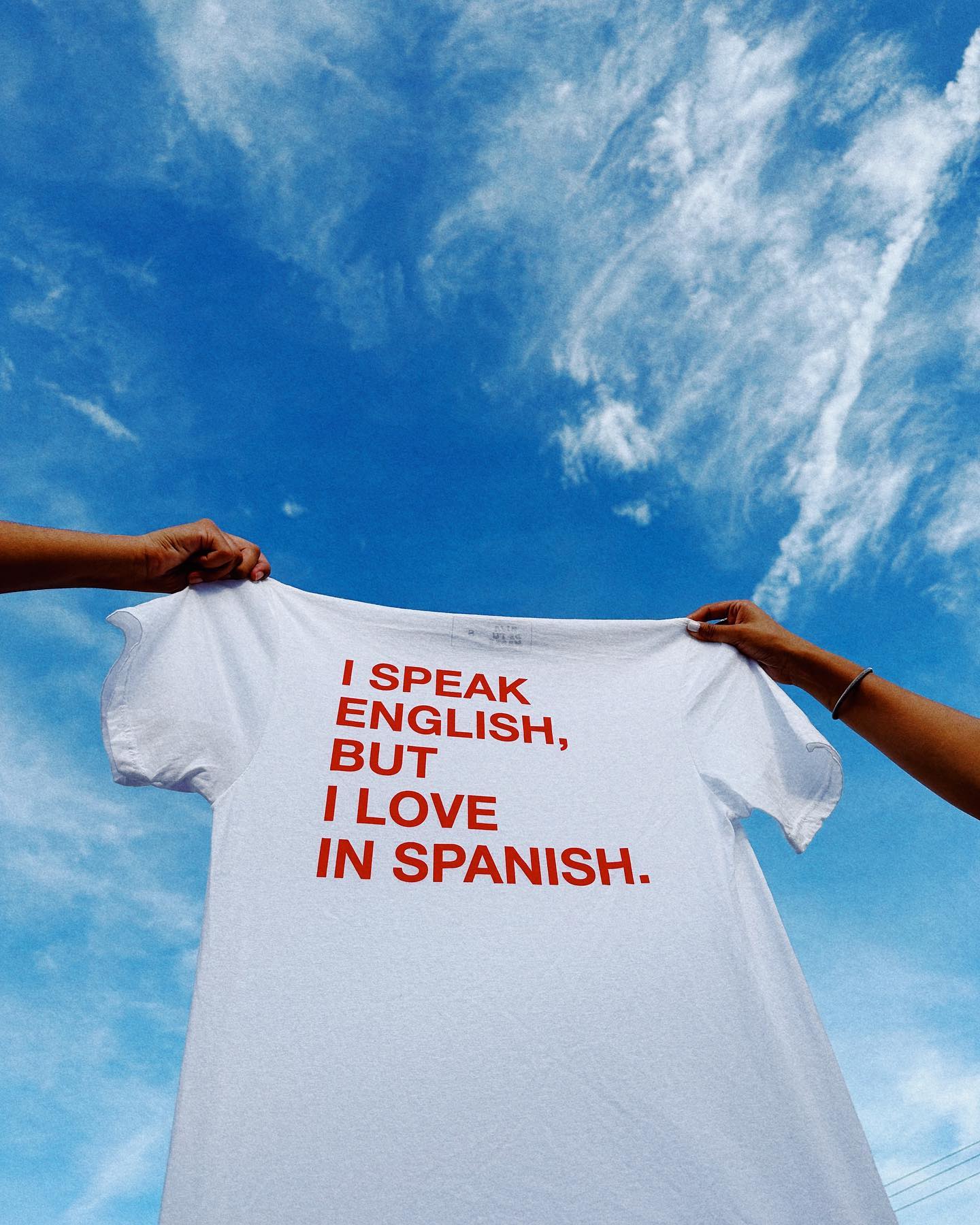 we need dresses and t-shirts for the party in spanish Latina Definition SVG Bundle, Funny Spanish Quote PNG, Hispanic Mom Aunt Sister Cousin Shirt Designs, Cinco De Mayo Family Reunion Pdf