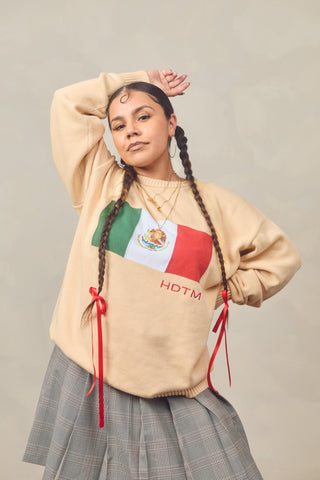 Mexico Bandera Knitted Sweater