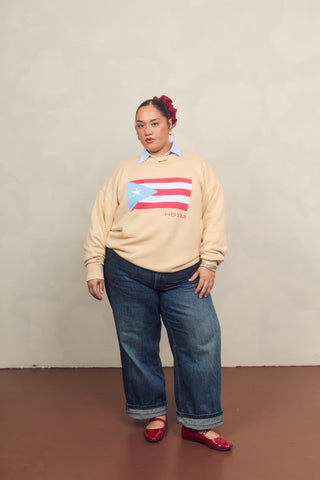Puerto Rico Bandera Knitted Sweater